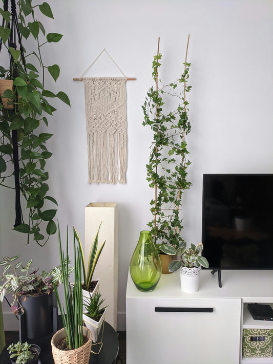 Le style kinfolk : une esthétique qui prône le retour aux sources