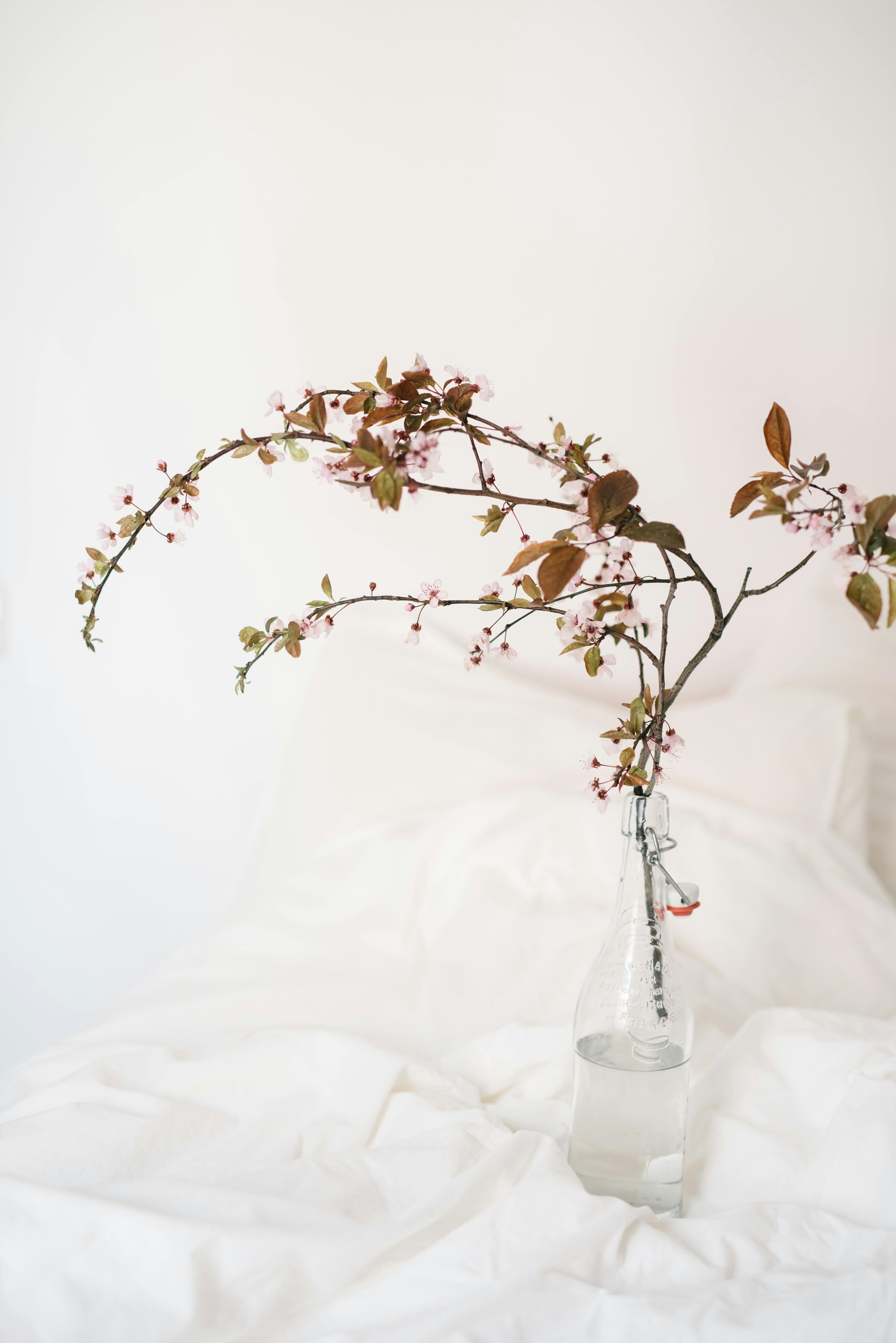 Qu'est-ce que la tendance slow déco ?